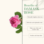 Buy Good Vibes Damask Rose Hydrating Hand Cream (50 gm) - Purplle