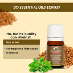 Buy Alps Goodness Essential Oil - Fenugreek (5 ml) - Purplle