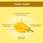 Buy Alps Goodness Essential Oil - Ylang Ylang (5 ml) - Purplle