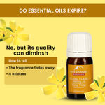 Buy Alps Goodness Essential Oil - Ylang Ylang (5 ml) - Purplle