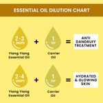 Buy Alps Goodness Essential Oil - Ylang Ylang (5 ml) - Purplle