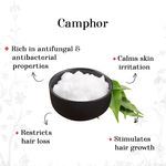 Buy Alps Goodness Pure Essential Oil - Camphor (10 ml) - Purplle