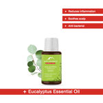 Buy Alps Goodness Pure Essential Oil - Eucalyptus (10 ml) - Purplle