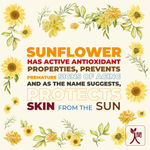Buy Ningen Sunflower De-tan Cleansing Milk I Enriched with Gotokula, Neem I Irritation Free, Paraben Free I Removes Tan, Dirt, Grime and Make-up I(200 g) - Purplle