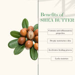 Buy Good Vibes Shea Butter + Aloe Vera Nourishing + Soothing Night Cream | Moisturizing, Soothing | No Parabens, No Sulphates, No Mineral Oil (50 gm) - Purplle