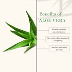 Buy Good Vibes Shea Butter + Aloe Vera Nourishing + Soothing Night Cream | Moisturizing, Soothing | No Parabens, No Sulphates, No Mineral Oil (50 gm) - Purplle
