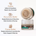 Buy mCaffeine Choco Lip Sleeping Butter for Overnight Moisturization & Hydration - 100% Vegan | For Dry & Chapped Lips | With 24 Hours Moisturization | (12gm) - Purplle