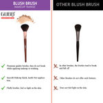 Buy GUBB Professional Blush Brush For Makeup - Purplle