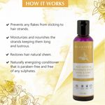 Buy Glamveda Daily Shine Conditioner Rice Water & Fenugreek 100 ml - Purplle