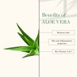 Buy Good Vibes Aloe Vera + Vitamin E Anti - Acne Night Face Lotion| With Hyaluronic Acid | No Parabens No Sulphates No Mineral Oil (120 ml) - Purplle
