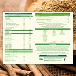 Buy bGREEN Daily Essential Plant Protein by MuscleBlaze, Chocolate, 500g - Purplle