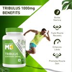 Buy MuscleBlaze Tribulus 1000mg, 60 Tablets - Purplle