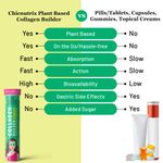 Buy Chicnutrix Plant Based Collagen Builder with Vitamin C, E, Biotin, Bamboo & Acerola Extract - 20 Effervescent tablets - Purplle