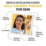 Buy Alps Goodness Powder - Kasturi Haldi (150 gm)| Kasturi Haldi Powder| Wild Turmeric powder| 100% Natural Powder | No Chemicals, No Preservatives, No Pesticides | Face Mask for Even Toned Skin | Face Mask for Glow - Purplle