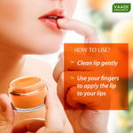 Buy Vaadi Herbals Orange Lip Balm (10 gm) - Purplle
