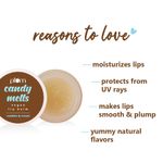 Buy Plum Candy Melts Cookies & Cream Vegan Lip Balm | Heals Cracked, Chapped Lips | With Uv Protection | 100% Cruelty-Free - Purplle