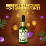 Buy NEUD Rapid Clearance Acne Treatment Serum With Salicylic Acid, Bakuchiol and Niacinamide - 2 Packs (30ml Each) - Purplle