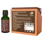 Buy NEUD Collagen Booster Coenzyme Q10 Serum With Matrixyl 3000 and Aloe Vera - 1 Pack (30ml) - Purplle