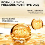 Buy L'Oreal Paris Shampoo, Moisturising & Hydrating, For Dull, Dry & Lifeless Hair, 6 Oil Nourish, 180 ml - Purplle