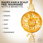 Buy L'Oreal Paris Shampoo, Moisturising & Hydrating, For Dull, Dry & Lifeless Hair, 6 Oil Nourish, 180 ml - Purplle