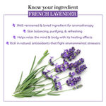 Buy Purplle French Lavender Parisian Midnight Body Yogurt | | Body Moisturizer (200gm) - Purplle
