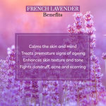 Buy Purplle French Lavender Parisian Midnight Body Yogurt | | Body Moisturizer (200gm) - Purplle