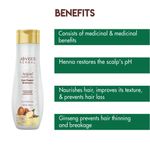Buy Jovees Herbal Argan Kernal Oil Hair Repair Shampoo For All Hair Types | Strengthen and Repairs Hair | Paraben & Alcohol Free 300 ml - Purplle