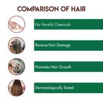 Buy Jovees Herbal Argan Kernal Oil Hair Repair Shampoo For All Hair Types | Strengthen and Repairs Hair | Paraben & Alcohol Free 300 ml - Purplle