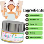 Buy Vigini 22% Actives Anti Acne Face Day Night Gel Control Oil Reduce Pimples Scars & Blackheads, Prone Skin, Unclog Pores, Prevents Breakouts Honey Cinnamon Niacinamide (Hyaluronic Salicylic) Acid Tea Tree Oil Men Women 50g - Purplle
