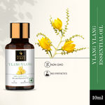 Buy Good Vibes Ylang Ylang 100% Natural Blended Essential Oil (10 ml) - Purplle