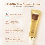 Buy LANBENA TCM Scar And Acne Mark Removal Gel Ointment Stretchmarks Surgical Scars - Purplle