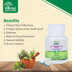 Buy Ayukarma Ayurvedic Natural Chandrahas Tablets | Boosts Stamina | Blood Formation | General Debility (60 Tablets) - Purplle