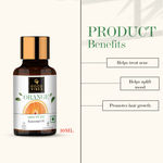 Buy Good Vibes Orange 100% Pure Essential Oil | Skin Brightening, Hair Growth | 100% Natural, No GMO, No Synthetics, No Animal Testing (10 ml) - Purplle