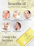 Buy Khadi Nutriment Camel Mik Soap (125 gm) - Purplle