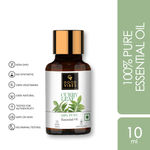 Buy Good Vibes 100% Pure Curry Leaf Essential Oil(10 ml) - Purplle