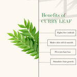 Buy Good Vibes 100% Pure Curry Leaf Essential Oil(10 ml) - Purplle