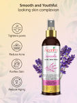 Buy Spantra Lavender Face Toner (200 ml) - Purplle