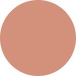 Buy ASA BEAUTY Powder Blush Gracious Ginger 03 - 4.5 gm - Purplle