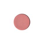 Buy ASA BEAUTY Powder Blush Refills Dreamy Rose 09 - 4.5 gm - Purplle