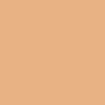 Buy ASA BEAUTY Easy Blend Concealer Refills Glazed Peccan 08 - 5 gm - Purplle