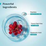 Buy Pilgrim Red Vine Face Serum with Peptides & Hyaluronic Acid for Anti-Ageing 30.0 ml - Purplle