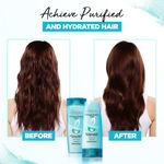 Buy L'Oreal Paris Purifying and Hydrating Shampoo, Rebalancing & Hydrating, For Oily Roots & Dry Ends, Extraordinary Clay, 180 ml - Purplle