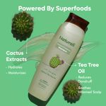 Buy Naturali Dandruff Defence Shampoo with Tea Tree Oil & Cactus Extracts | Prevents Dandruff | Paraben and Sulphate Free Shampoo | Anti Dandruff Shampoo 180 ml - Purplle