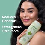Buy Naturali Dandruff Defence Shampoo with Tea Tree Oil & Cactus Extracts | Prevents Dandruff | Paraben and Sulphate Free Shampoo | Anti Dandruff Shampoo 180 ml - Purplle