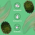 Buy Naturali Dandruff Defence Shampoo with Tea Tree Oil & Cactus Extracts | Prevents Dandruff | Paraben and Sulphate Free Shampoo | Anti Dandruff Shampoo 180 ml - Purplle