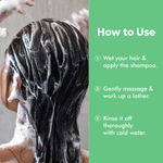 Buy Naturali Dandruff Defence Shampoo with Tea Tree Oil & Cactus Extracts | Prevents Dandruff | Paraben and Sulphate Free Shampoo | Anti Dandruff Shampoo 180 ml - Purplle