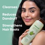 Buy Naturali Dandruff Defence Shampoo with Tea Tree Oil & Cactus Extracts | Prevents Dandruff | Paraben and Sulphate Free Shampoo | Anti Dandruff Shampoo ,340 ml - Purplle