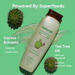 Buy Naturali Dandruff Defence Shampoo with Tea Tree Oil & Cactus Extracts | Prevents Dandruff | Paraben and Sulphate Free Shampoo | Anti Dandruff Shampoo ,340 ml - Purplle