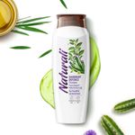 Buy Naturali Dandruff Defence Shampoo | With Tea Tree Oil & Cactus Extract | Prevents Dandruff & Moisturizes Hair & Scalp | 80 ml - Purplle