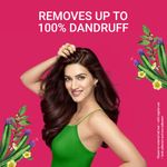 Buy Naturali Dandruff Defence Shampoo | With Tea Tree Oil & Cactus Extract | Prevents Dandruff & Moisturizes Hair & Scalp | 80 ml - Purplle